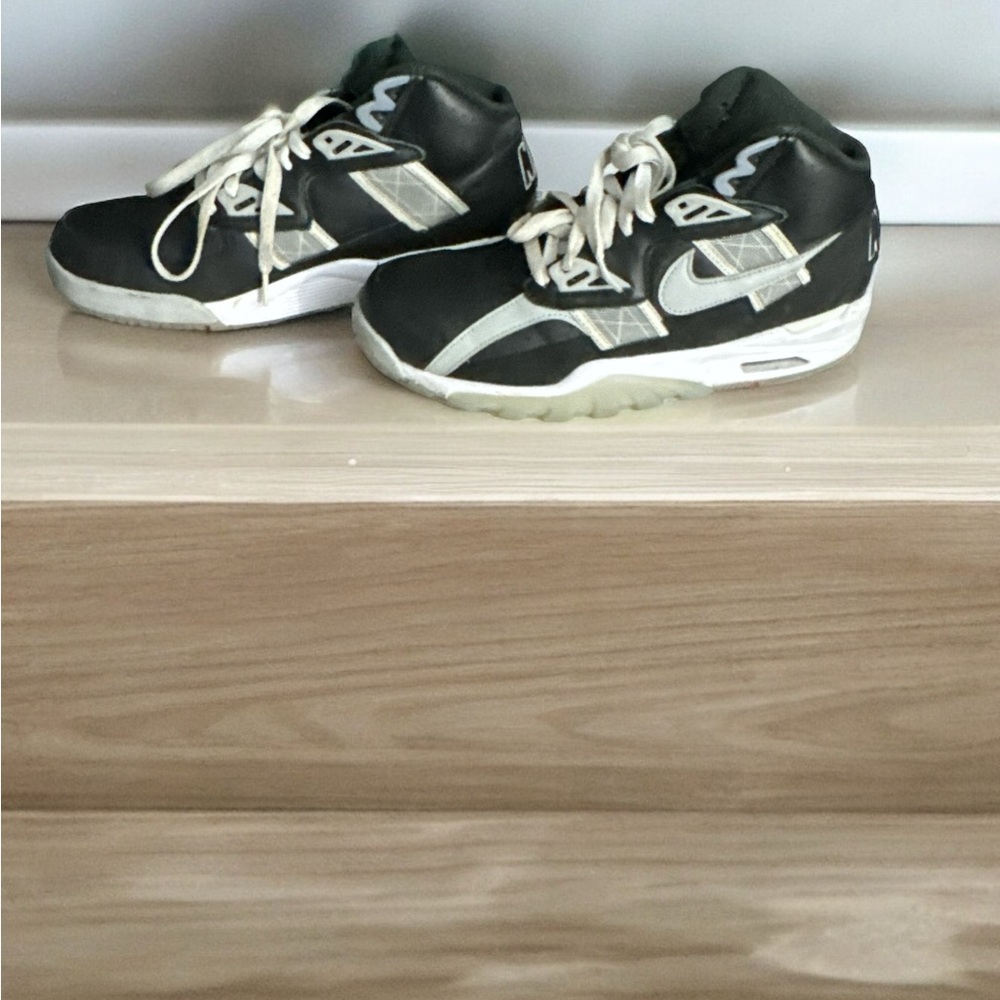 Air trainer SC high raiders used
